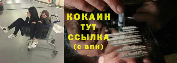 твердый Кукмор
