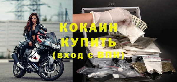 твердый Кукмор