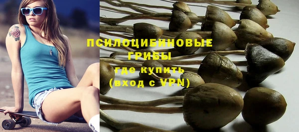 твердый Кукмор