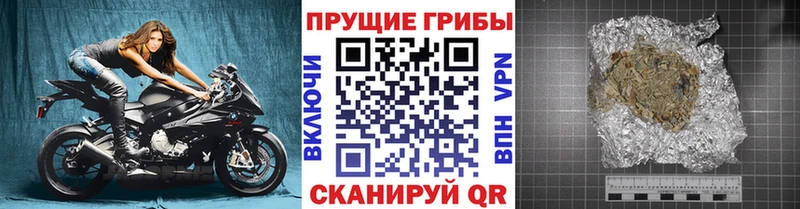 Купить закладки  Гороховец  Галлюциногенные грибы прущие грибы 